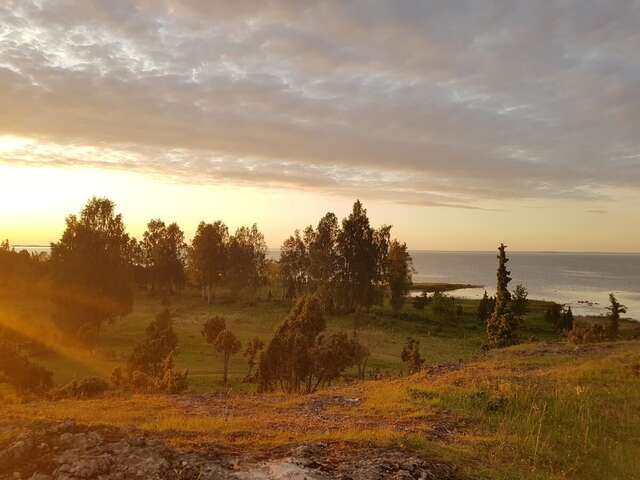 Дома для отпуска Holiday House Üügumetsa Kallaste-22